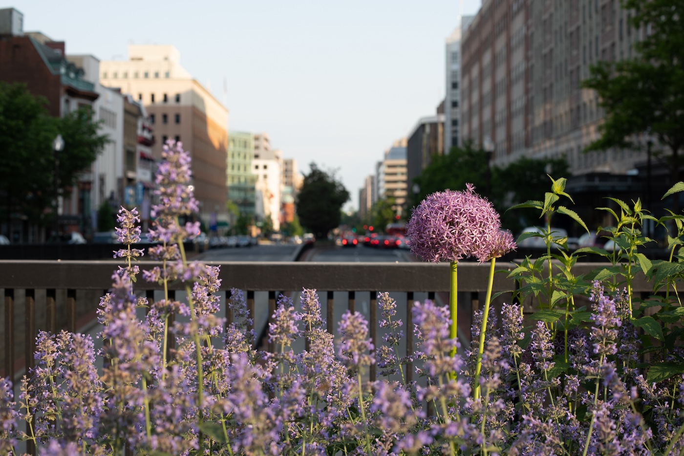 west end DC