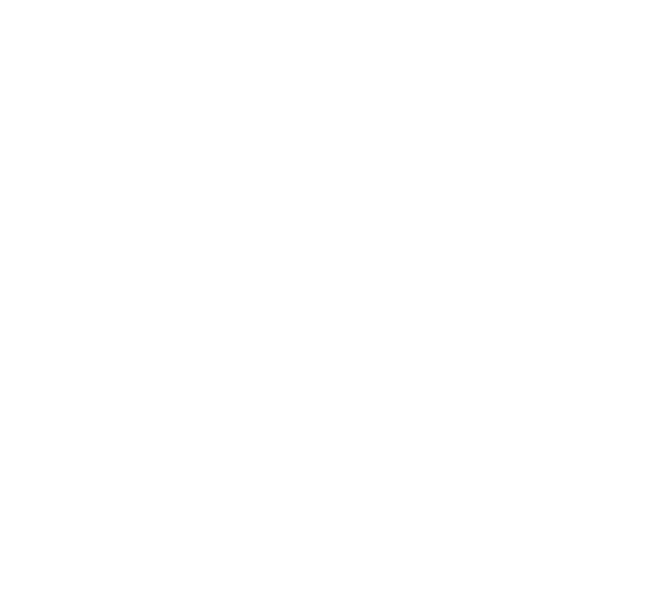 Daniel Brewer Advisory Partners